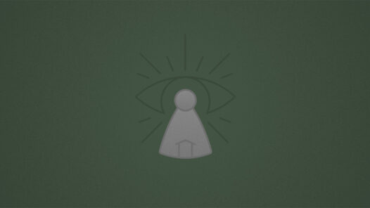 The Drúedain